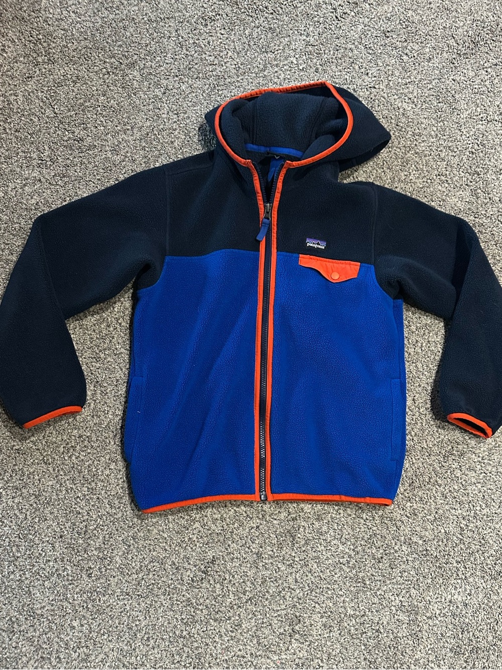 Patagonia Kids Fleece